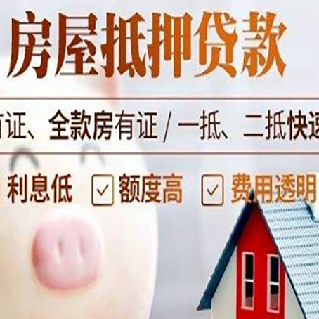 舞阳贷款助贷公司新渝启服成立时间久