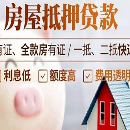 舞阳贷款中介公司新渝启服实力公司